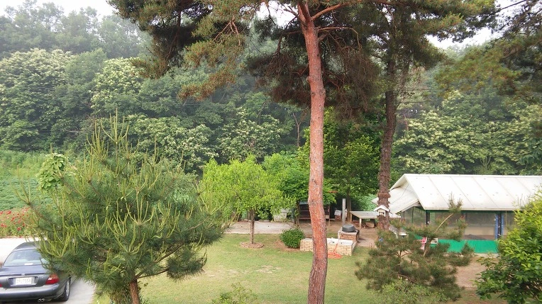 277724395758EF59333774