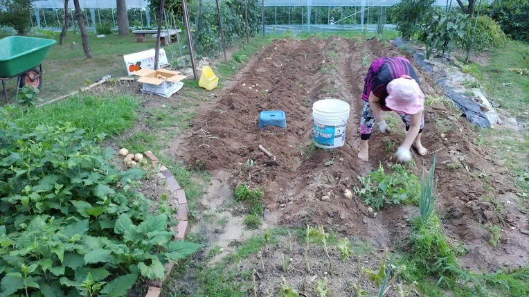 99DF88445B3D58611955F7