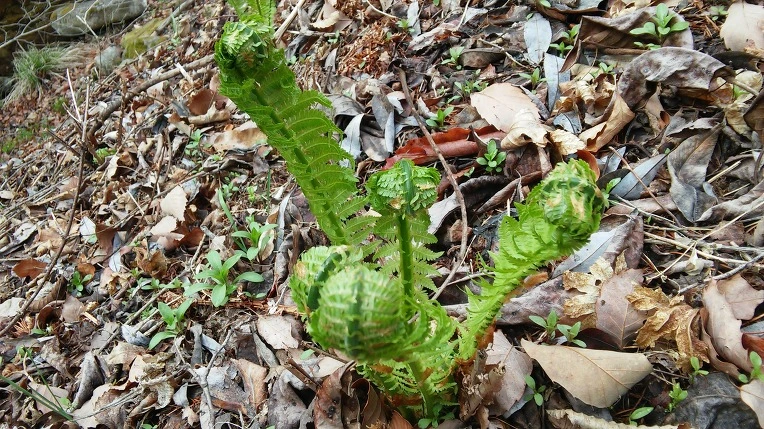 213EEF3958F175A71BE3C3