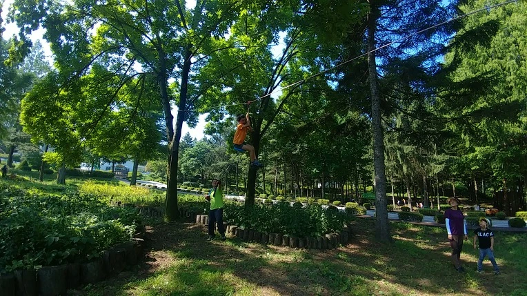 991DED385B57BCCA1C30DF