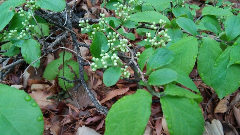 2357A24B571AD00C17D505