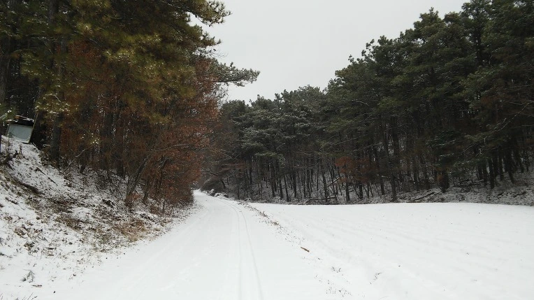 21658335588189580BB60D