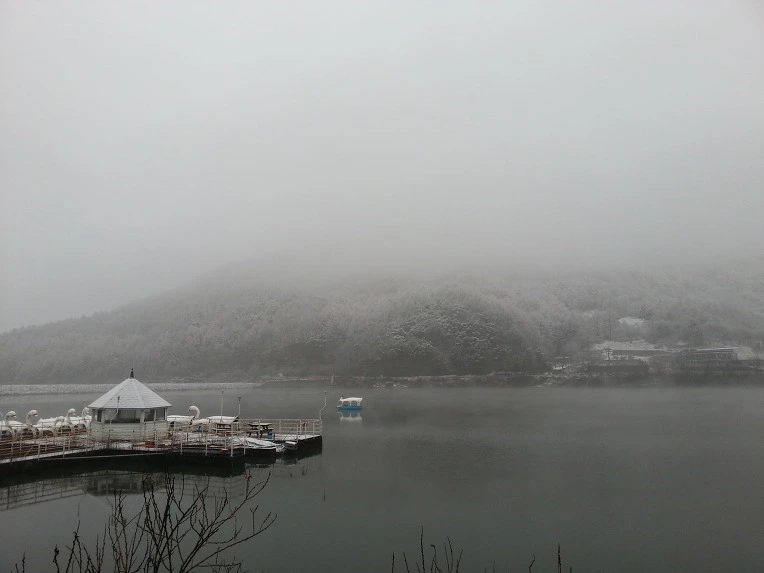 233F3A4856947019047E74