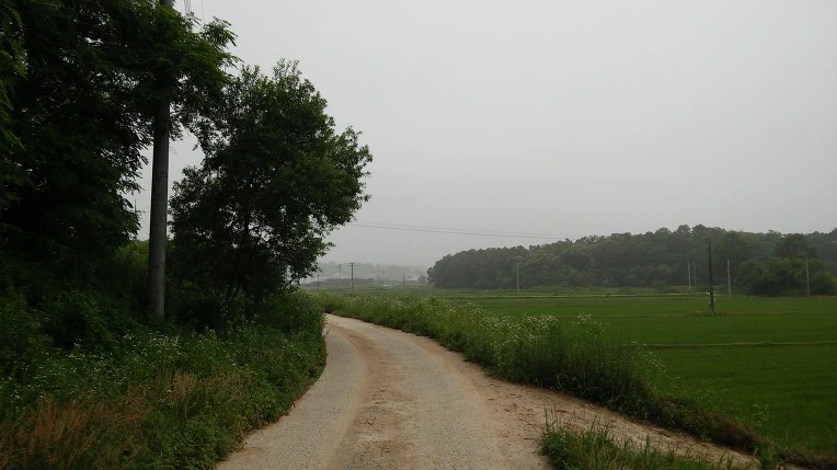 24024139575E51D832316A