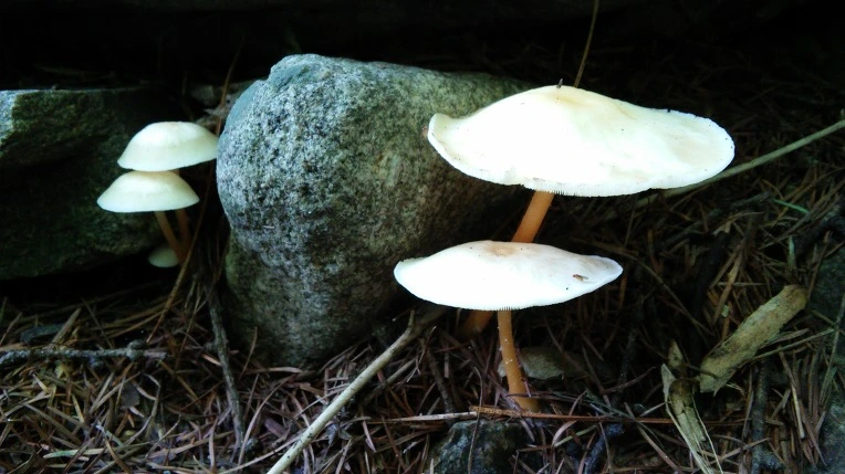 252F114D56987EE22F1CBB