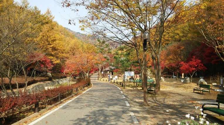 222CAA49563C462A0D4698