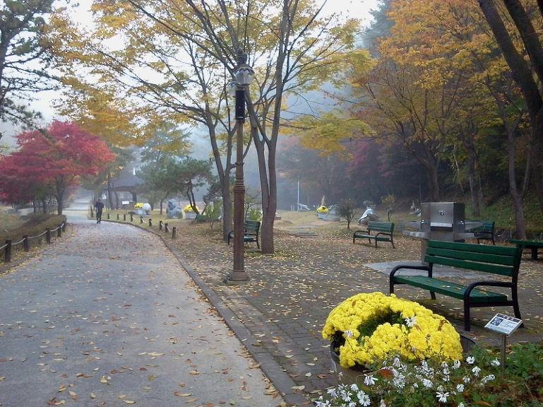 22598B35542418AB2D4519