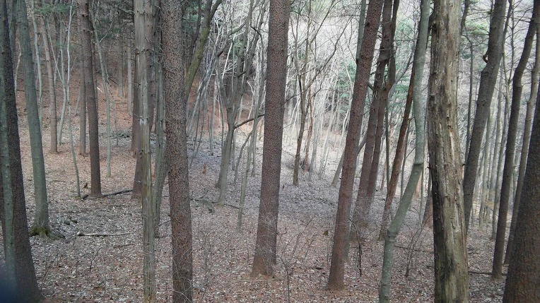 235FD13C56F39166024C86