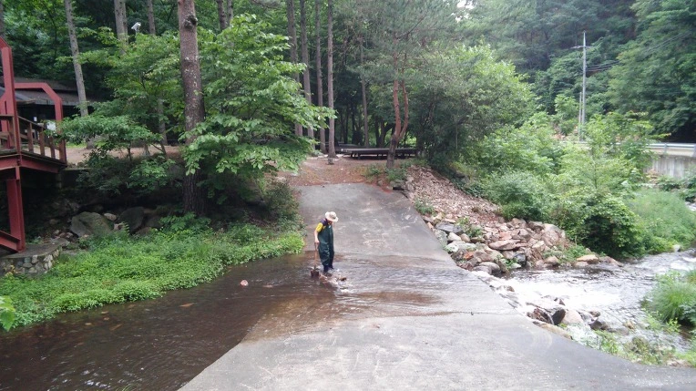 257E4E3A59596CE91A37E4