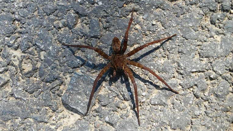 2610BD4255F11E740F9C83