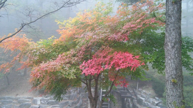 2757094556281E27305054