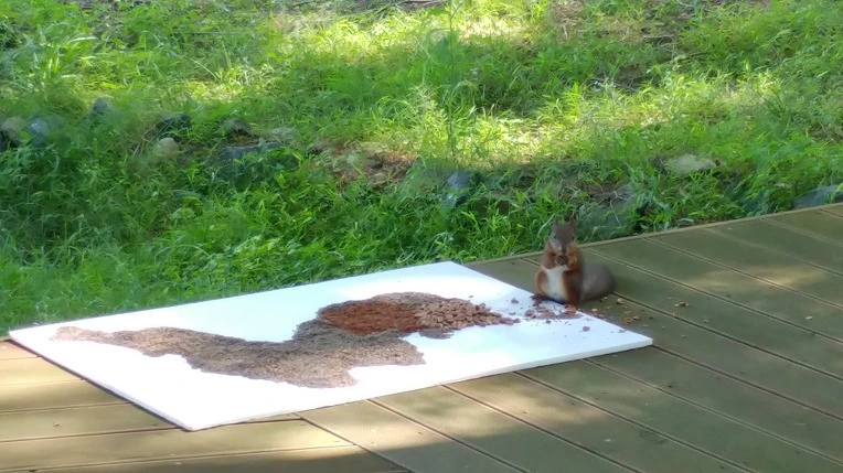 990F314A5B4D8EED1251BA