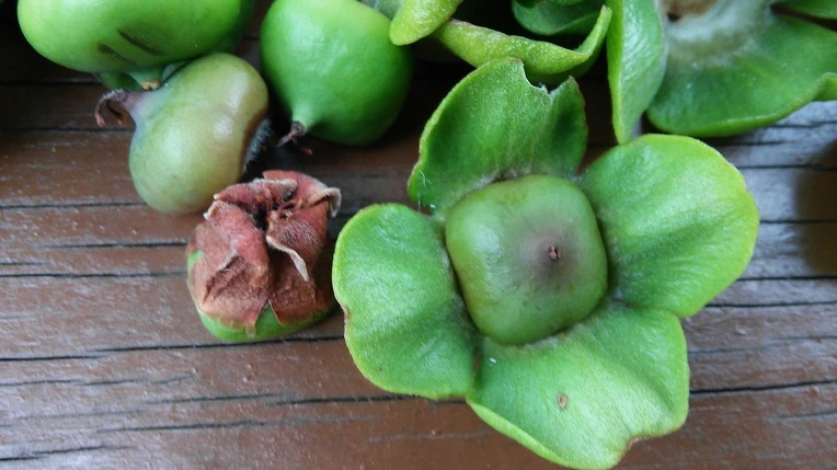 2262B3485971370B0AD73F