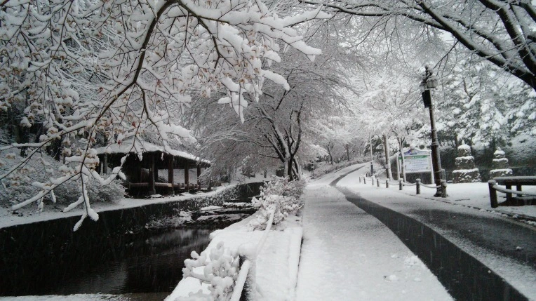 p4AcAxgk_AVQWj7zS1g8Ubx3uTM