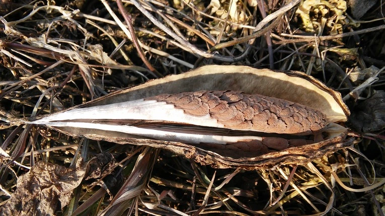 255F683556B307780FA944