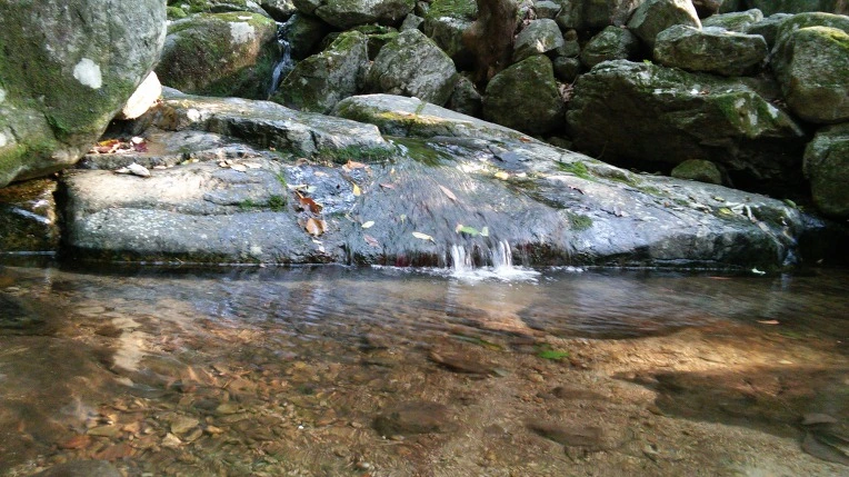 230D2F45560FBCF814D84B