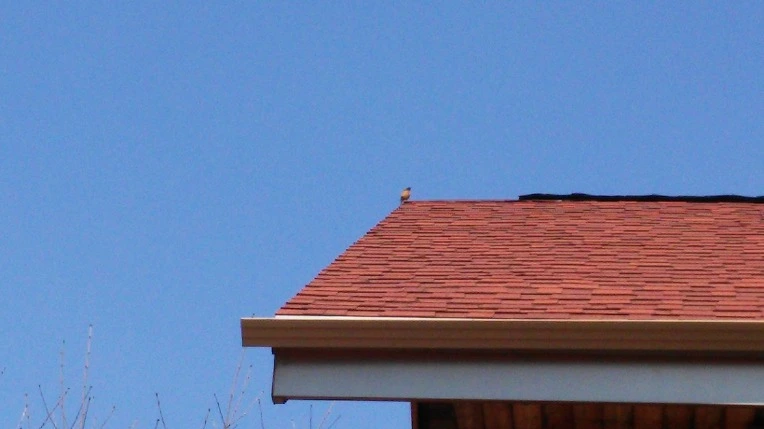 2150153456F3901D09851F