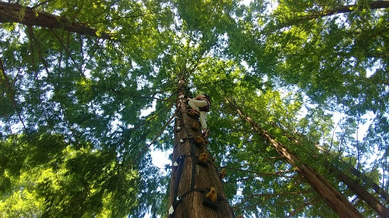 99F0B33C5B57BEDA180F40