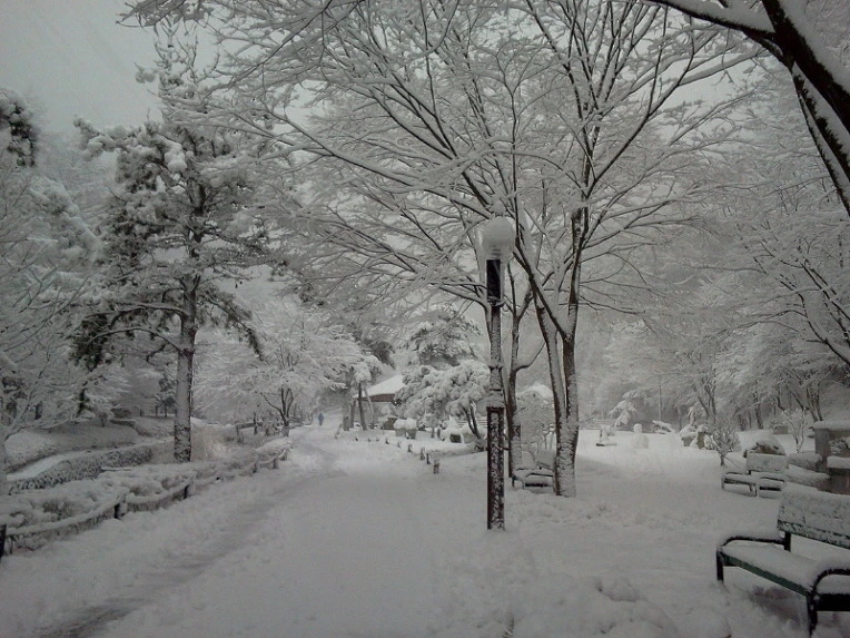 2364B650547F92800DEF38