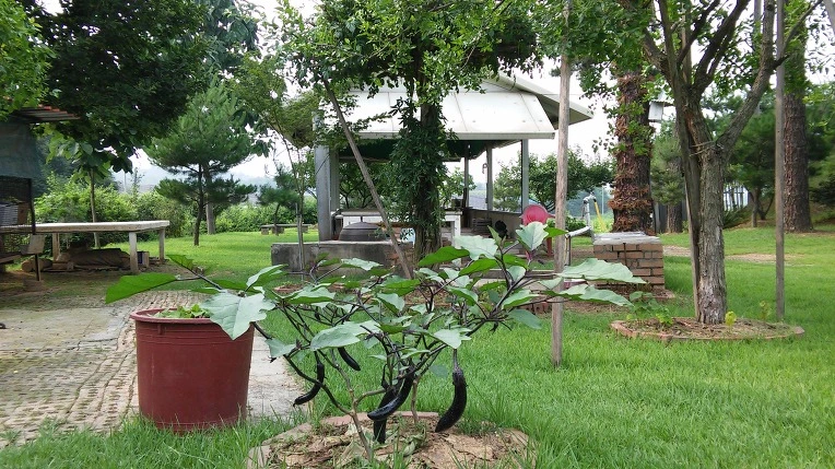 276A4B35579FED00227F31