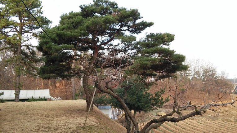 271D434556FC8C0E31272B