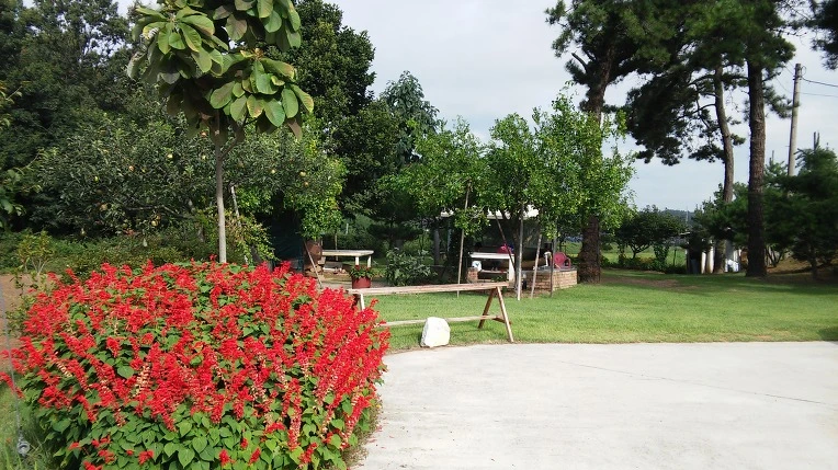 217D364957CA235B1937BD