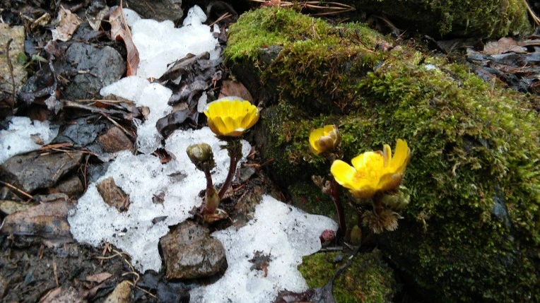 2431214056D1087A2532D1