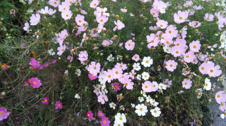 2628DB4C57D5E23E2B3FD3