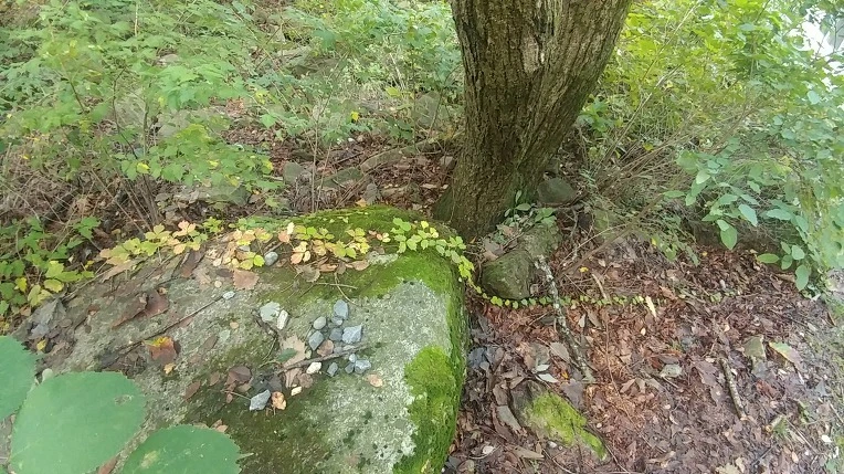 99B7CF365E50CEF52B3961