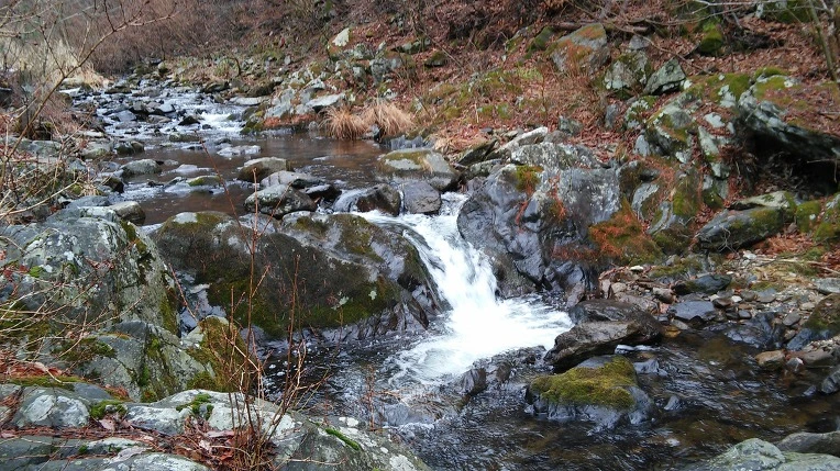 26267F3558DF027D1A81B9