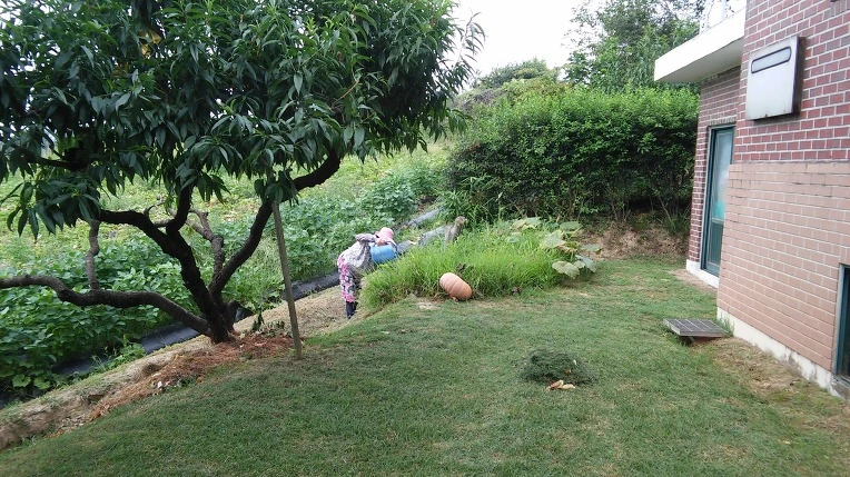 231AF74157B27E851B7304