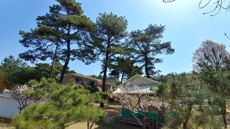 9920BD505ACD329F1C1261