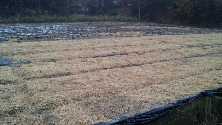 21232E4A564999AA0ADFEC