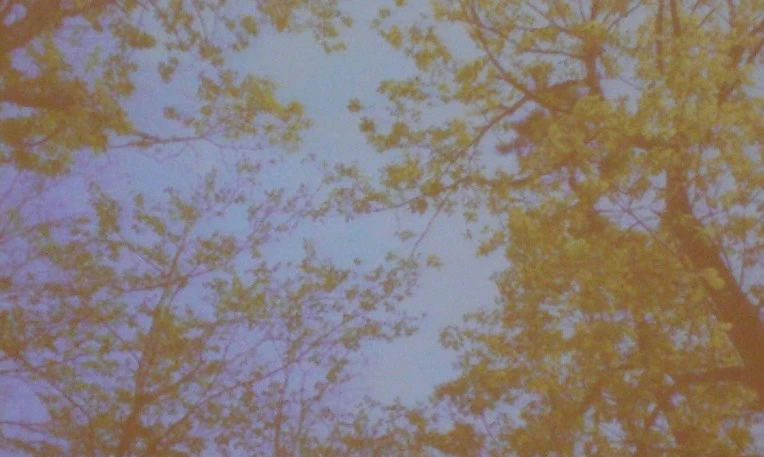 226C793C56FA722D2BD953