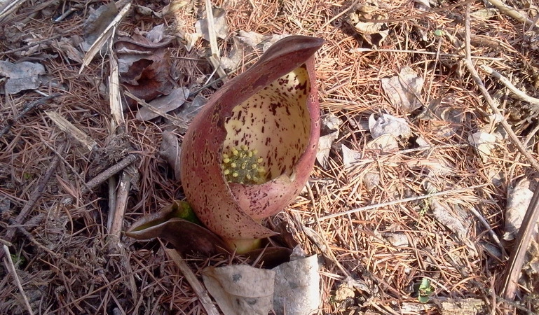 124E75474D85DD8514E776