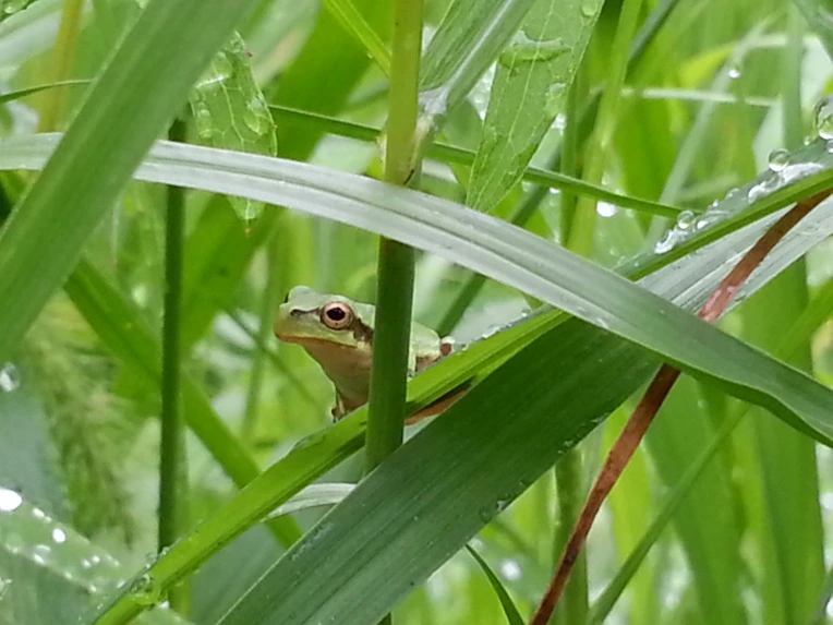 244EA84856B024CE35122E