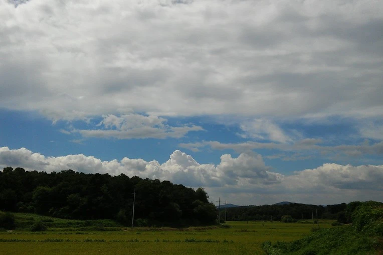 263DA24F57C410E01E097B