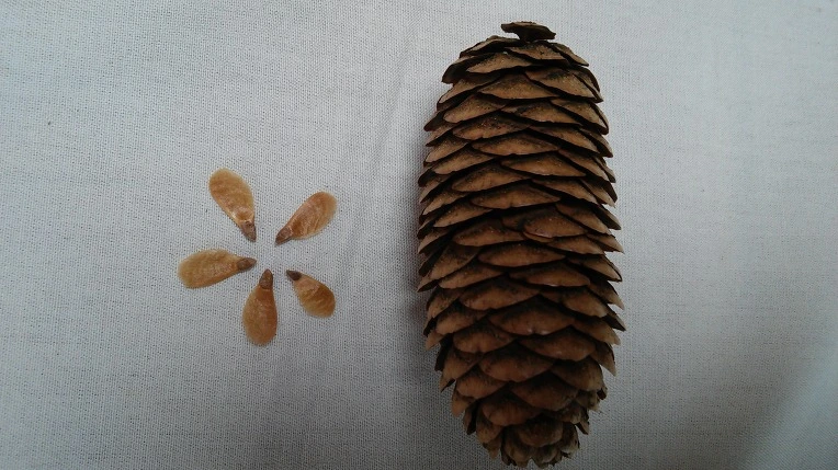 25218D3958F175AA1D9FFE