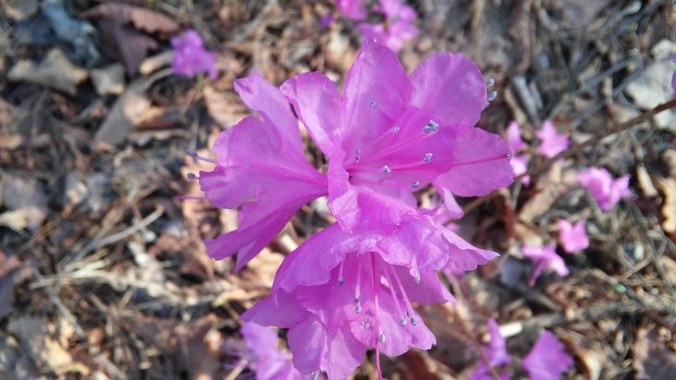 224075505703669D2F8368