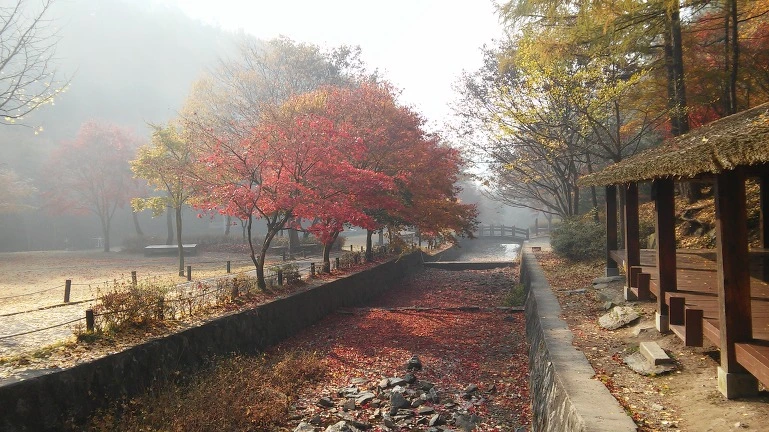 2530AC3656399E31155DC2