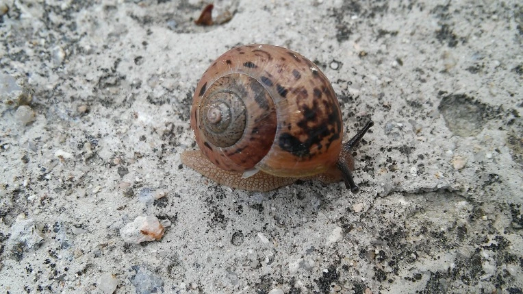 265D2A42574633F43521BE