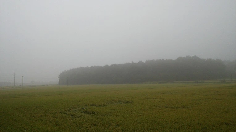 2474BA3757D4AE482F1BF2