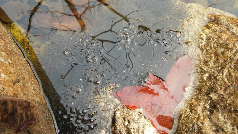 2720E14058D7558B1F5712