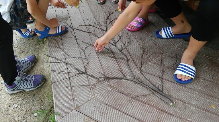 241E3A4456528FAD28A289