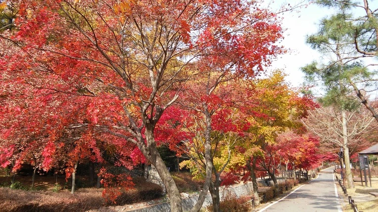 242E6649563C46330D1C4E