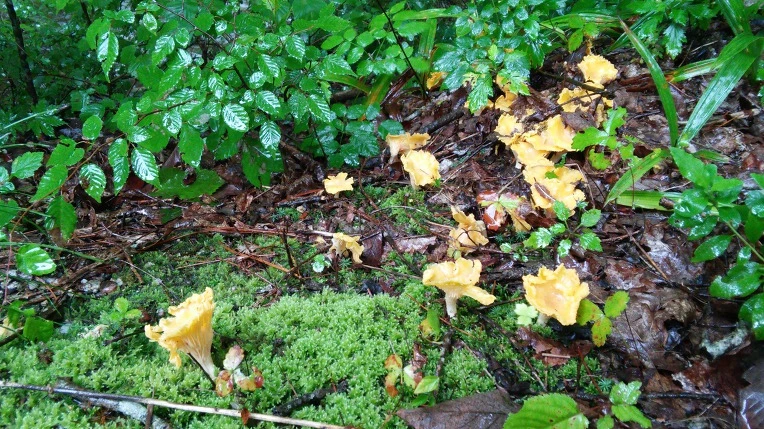 99C6E733598F7C9F15BF9F