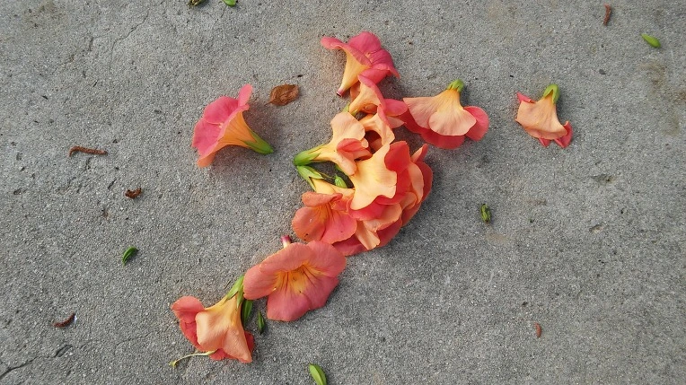 27590E495771F45A313CEB