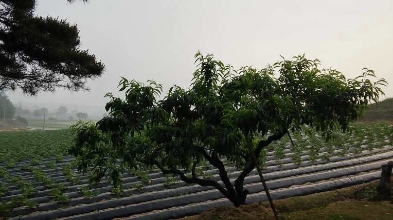 2468B73E574E509604855D