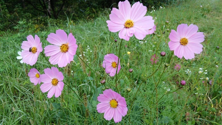 99E6D83359CB17DF26CCFB