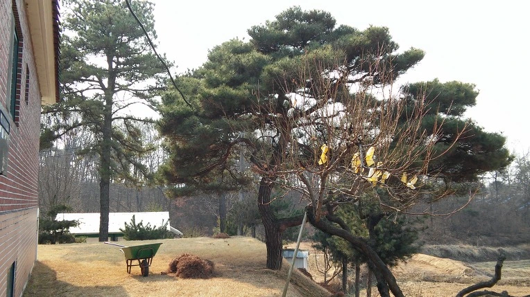 216AC54758BBE7CB14542B